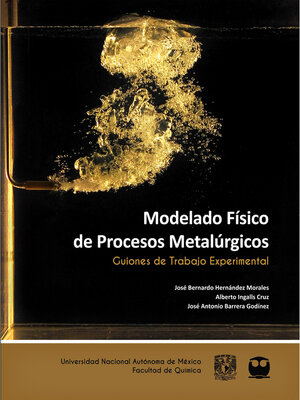 cover image of Modelado Físico de Procesos Metalúrgicos. Guiones de Trabajo Experimental